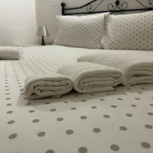 Appartamento 2 Passi Dal Mare Di Ampio Trilocale, Alassio